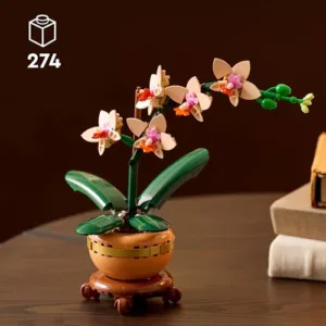 Orchid plant